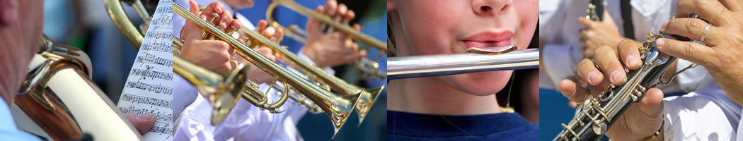Musikverein Musikkapelle Nussdorf 